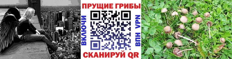 Галлюциногенные грибы прущие грибы Снежинск